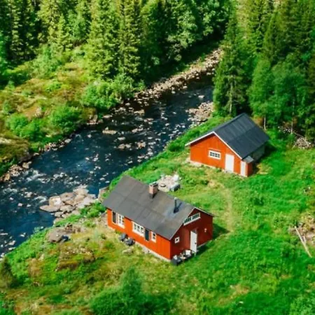 Forest By The River * Svarstad (Vestfold)
