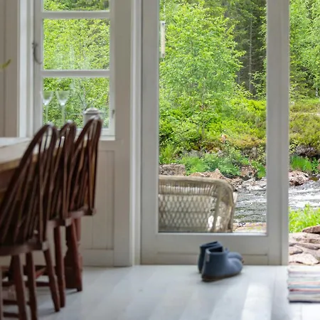 Forest By The River Svarstad (Vestfold)