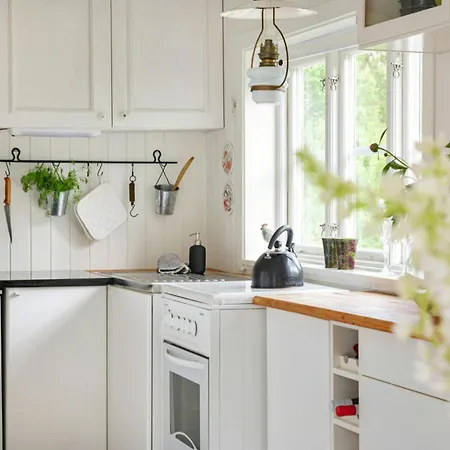 Forest By The River Svarstad (Vestfold)