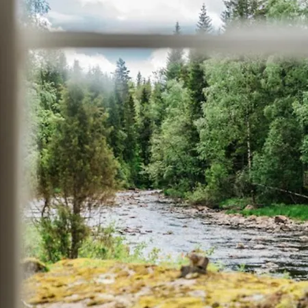 Forest By The River Feriehus Svarstad (Vestfold)