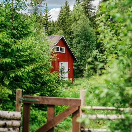 Forest By The River *