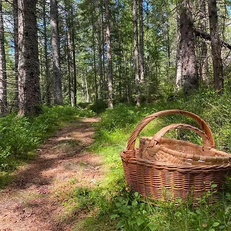 Forest By The River Feriehus Svarstad (Vestfold)