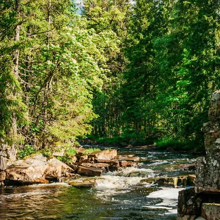 Forest By The River Svarstad (Vestfold)