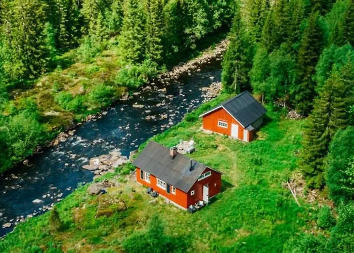 Forest By The River * Svarstad (Vestfold)